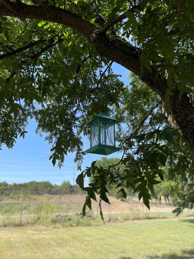 Pet Friendly Graham Home Route 66 At The Mistletoe Farm Екстер'єр фото